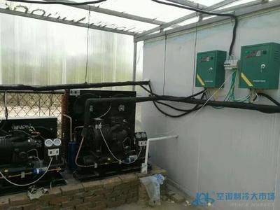 容城县小冷库安装、中央空调维修保养与网络工程施工 专业服务助力现代化生活与商业运营